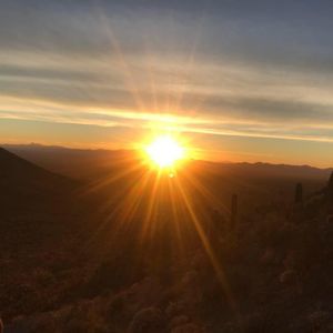 Meet your Posher, Marisol